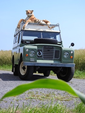 Land-Rover 109 Serie III (1978)
