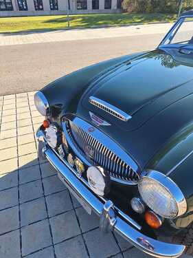 Bild 4 von Inserat Austin Healey MK3 1967