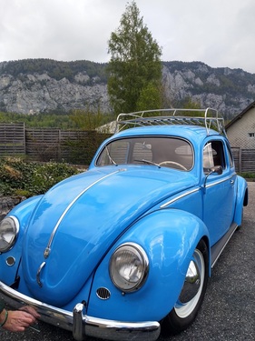 VW Käfer Ovali (1956)