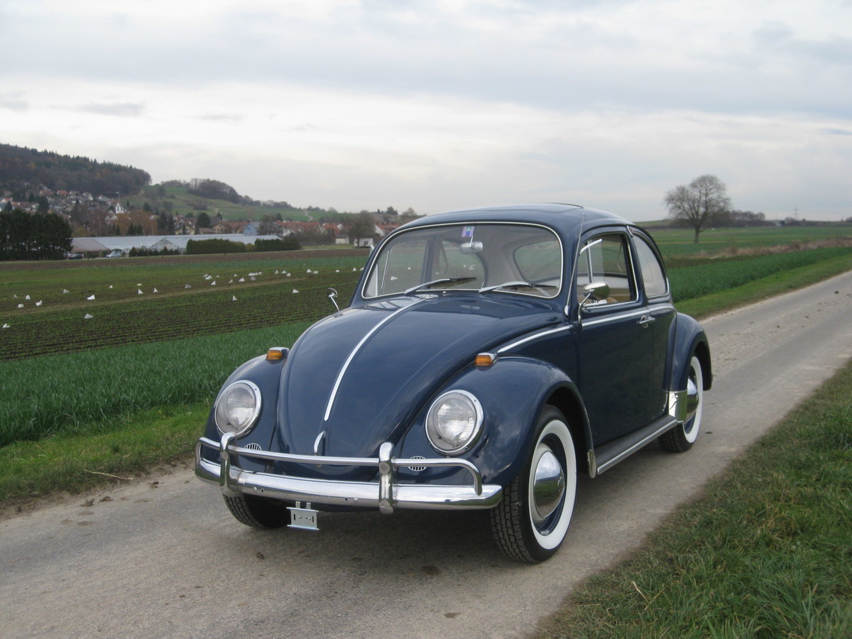 VW Käfer 1200 (1965) - Oldtimer kaufen | Zwischengas
