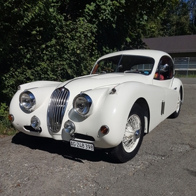 Jaguar XK 140 FHC - C-Type (1956)