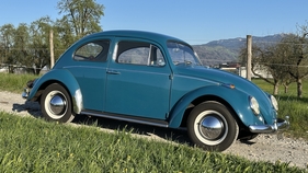 VW Käfer 1200 Export (1964) VW Käfer 1200 Export (1964)