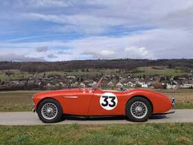 Bild 3 von Inserat Austin Healey 100 4 BN1 1955