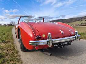 Bild 23 von Inserat Austin Healey 100 4 BN1 1955