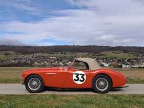 Bild 4 von Inserat Austin Healey 100 4 BN1 1955