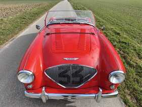 Bild 19 von Inserat Austin Healey 100 4 BN1 1955