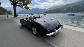 Bild 3 von Inserat Austin Healey MKI BN7 1959