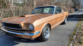 Ford (USA) Mustang Fastback (1965) Ford (USA) Mustang Fastback (1965)