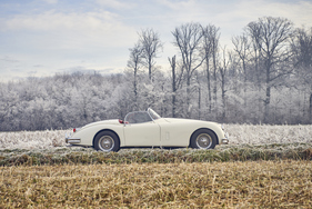 Bild 6 von Inserat Jaguar XK 150 3.4 S OTS 1958