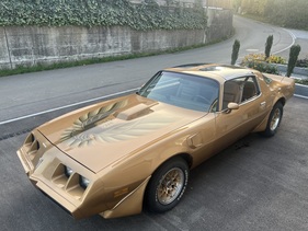 Pontiac Trans Am Targa 6.6 (1979) Pontiac Trans Am Targa 6.6 (1979)