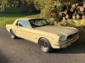 Ford (USA) Mustang (1966) Ford (USA) Mustang (1966)
