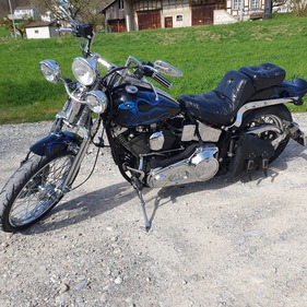 Harley Davidson FXSTS Softail Springer (1989) Harley Davidson FXSTS Softail Springer (1989)