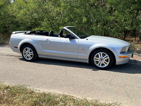 Ford Mustang (2005) (Auktions-Fahrzeug) Ford Mustang (2005) (Auktions-Fahrzeug)