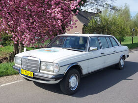 Mercedes Benz Pullman (1984) (Auktions-Fahrzeug)