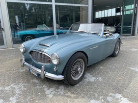 Austin Healey 3000 MKI (1959) (Auktions-Fahrzeug)