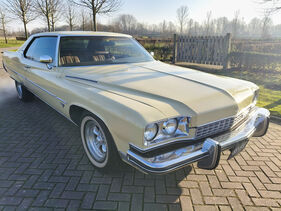 Buick Electra (1973) (Auktions-Fahrzeug)