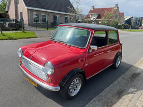 Austin Mini (1983) (Auktions-Fahrzeug) Austin Mini (1983) (Auktions-Fahrzeug)