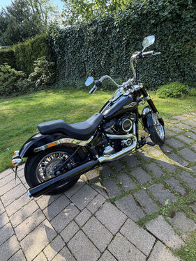 Harley Davidson Sport (2019) (Auktions-Fahrzeug)