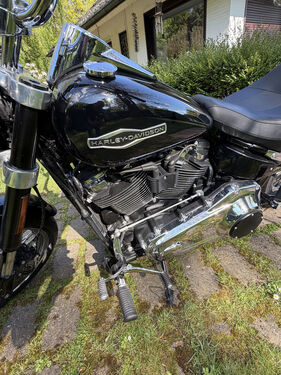 Bild 6 von Inserat Harley Davidson Sport 2019