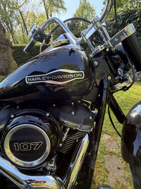 Bild 8 von Inserat Harley Davidson Sport 2019