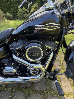 Bild 7 von Inserat Harley Davidson Sport 2019