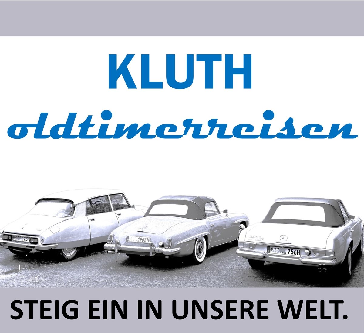 Logo der Veranstaltung «Reise in den Schwarzwald»