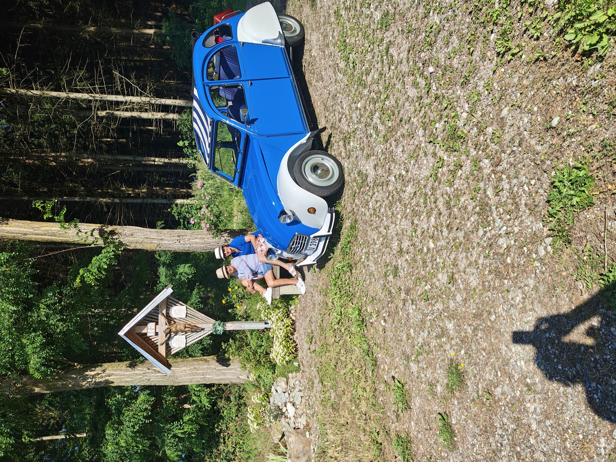 Logo der Veranstaltung «3. Oldtimer Woodstock»