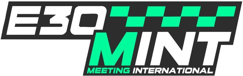 Logo der Veranstaltung «E30MINT»
