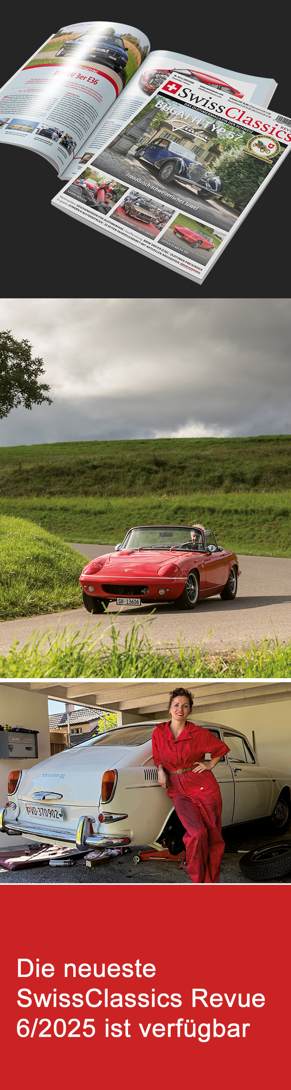 Bild Kooperations-Partner